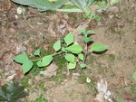DSCN2567.JPG