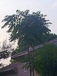 Photo062.jpg