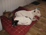 IMG_2074.JPG