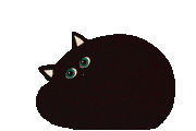 minou noir.gif