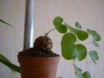 P1010011.JPG