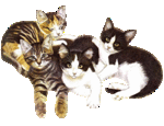 087chats.gif