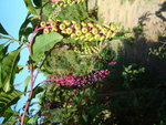 DSC02008.JPG