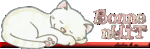 bonnenuit04.gif