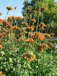 DSCN2612.JPG
