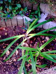 Photo072.jpg