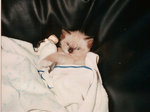zou-doudou-2-web.jpg