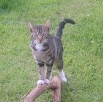 chats280709 052.jpg
