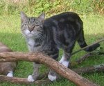 chats280709 038.jpg