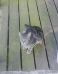 chats 150309 024.jpg