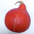 potimarron.jpg