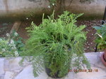 DSCN4925.JPG