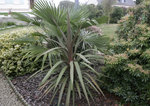 plante 058 (1).jpg