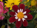 fleur mamam.jpg