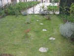 vue d'ensemble, jardin de derriere, 40 m2