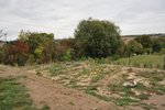 potager.jpg