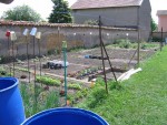 vue panoramique du potager!
