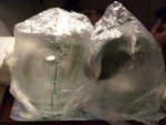 avec les sacs (percés et enlevés fréquemment pour vérification)