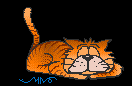 57.gif