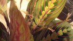 fleur2.jpg
