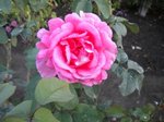 DSCN0012.JPG