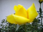 DSCN0048.JPG