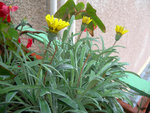 dscn5957.jpg