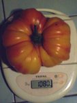 100_1789.jpg
