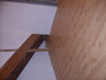 SUC51594.JPG