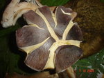 08.10.09 003.jpg