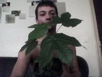 IMG000010.jpg