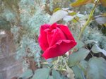 DSCN0010.JPG