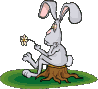 lapinou.gif