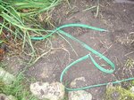 balbo-betise-web.jpg