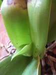 DSCF3629.JPG