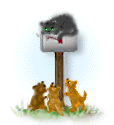 chat perché.gif