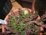 10.10.2009 015.jpg