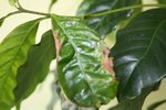 IMG_1822.JPG