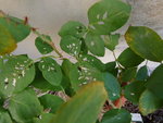 P1050408.JPG