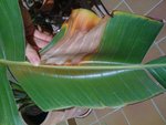 IMG_0367.jpg