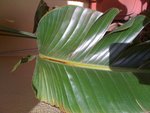 IMG_0366.jpg