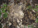 DSC03057.JPG