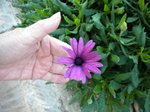 DSCN0034.JPG