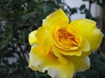 DSCN0036.JPG