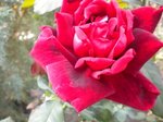 DSCN0042.JPG