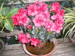 DSCN0046.JPG