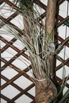 IMG_3190_1.jpg