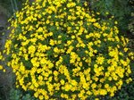 DSCN0017.JPG