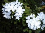 DSCN0051.JPG