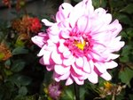 DSCN0057.JPG